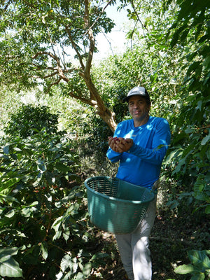 Single Origin Stories: Carlos Montero
