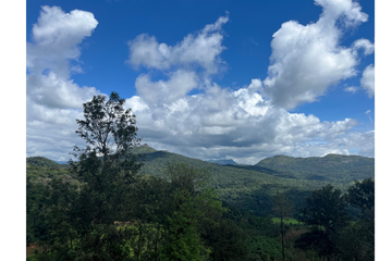 Our Latest Origin Visit: Karnataka, South India