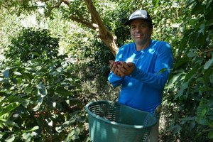 Single Origin Stories: Carlos Montero