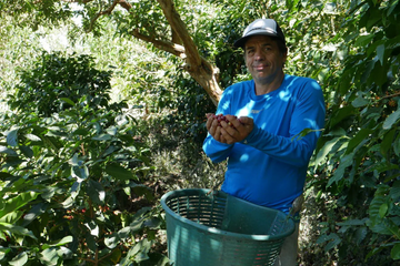 Single Origin Stories: Carlos Montero
