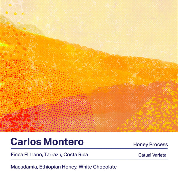 Carlos Montero Honey (Costa Rica)