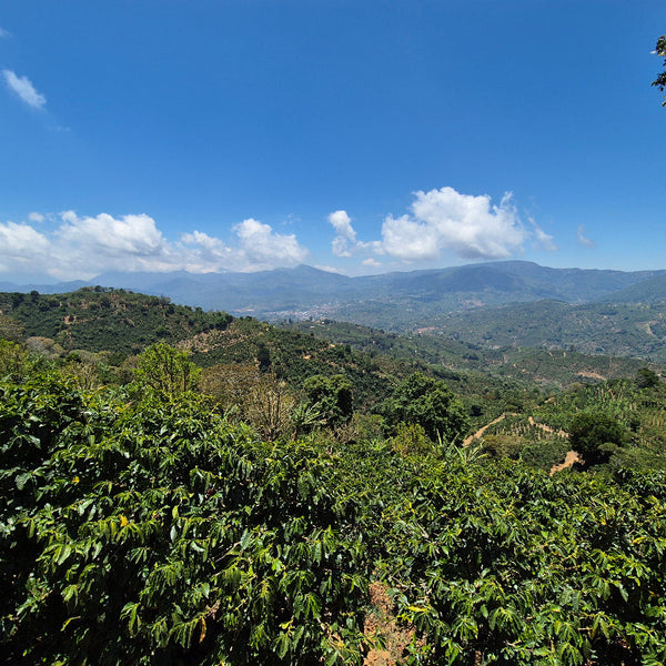 Scenic view of green hills and valleys under a blue sky with clouds.