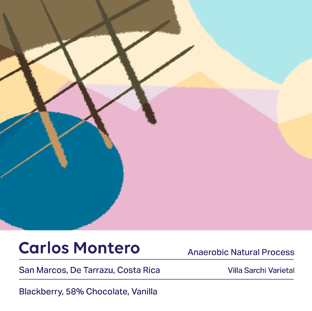 Carlos Montero Anaerobic (Costa Rica) River Coffee