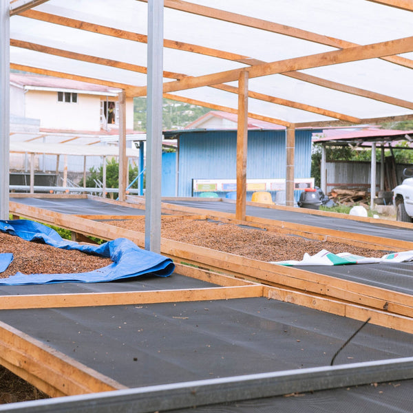 Wooden structure with a roof under construction, surrounded by outdoor elements.