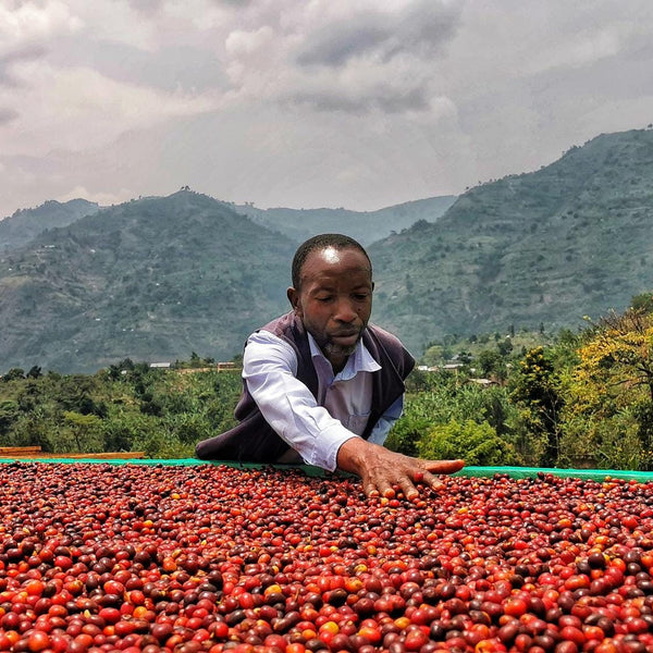 Maliba (Uganda)