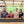 Four people posing together inside a greenhouse.