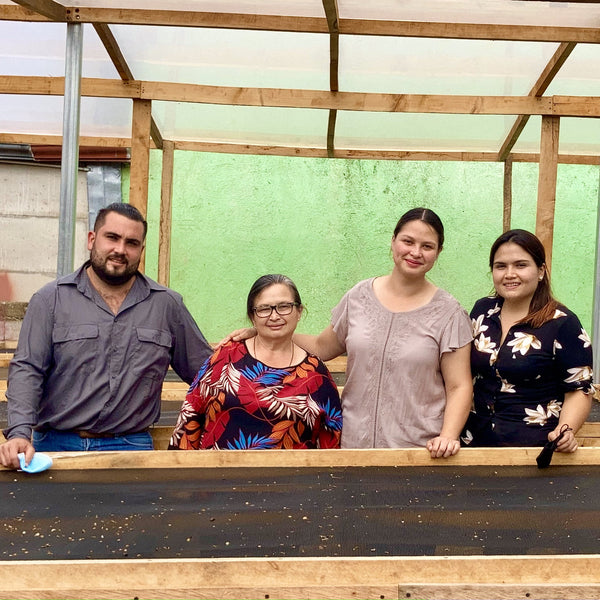 Four people posing together inside a greenhouse.