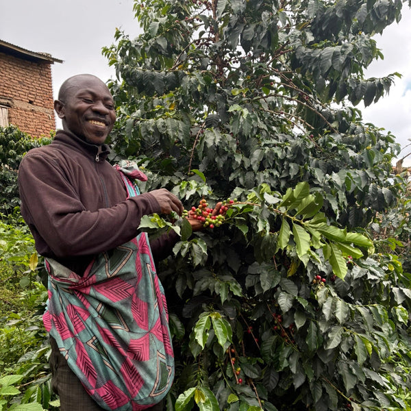 Maliba (Uganda)