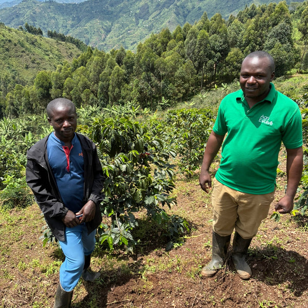Maliba (Uganda)