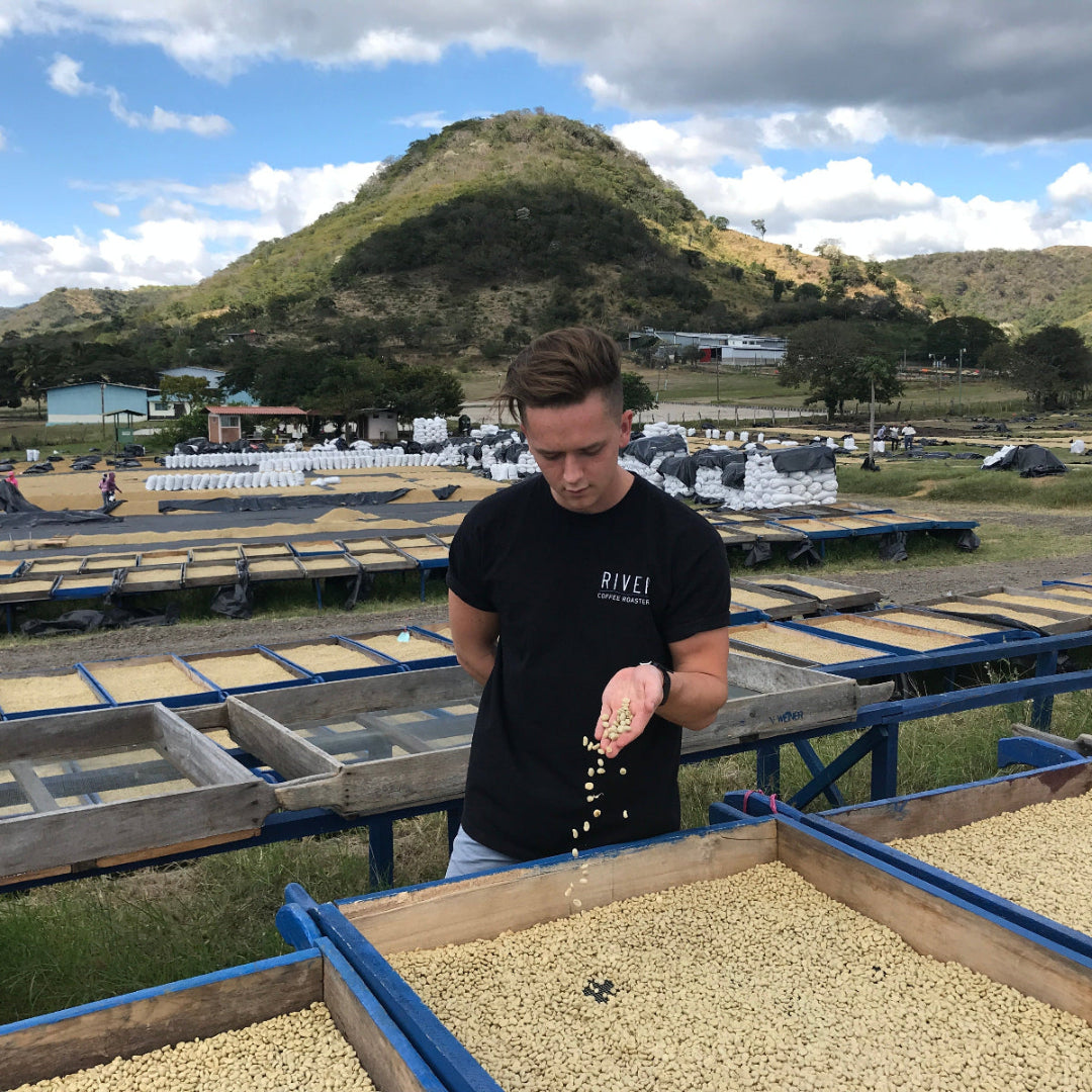 Person sorting coffee beans in an outdoor setting with mountains in the background