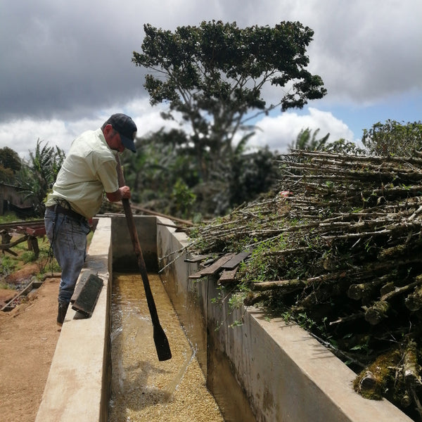 Navidad Sky (Festive Coffee)