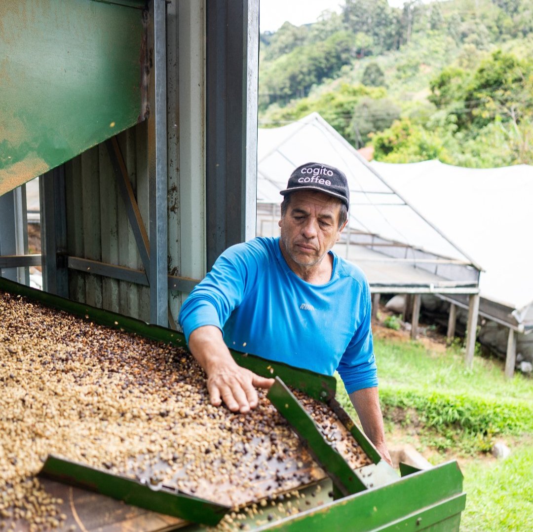 Carlos Montero Anaerobic (Costa Rica) River Coffee