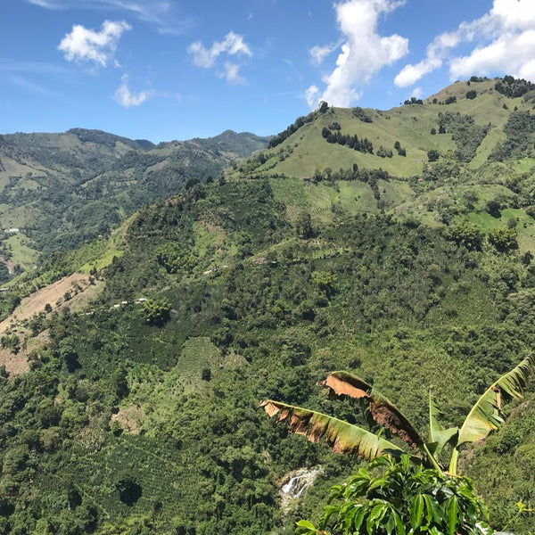 Santa Fe (Colombia)